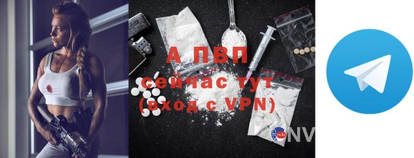 ПСИЛОЦИБИНОВЫЕ ГРИБЫ Верея