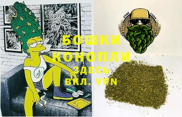 ПСИЛОЦИБИНОВЫЕ ГРИБЫ Верея