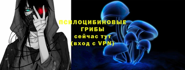 шишки Верхнеуральск