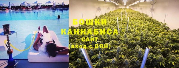 ПСИЛОЦИБИНОВЫЕ ГРИБЫ Верея