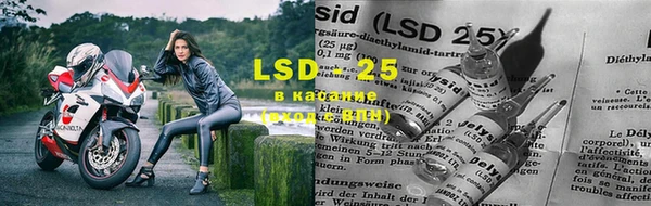 ПСИЛОЦИБИНОВЫЕ ГРИБЫ Верея