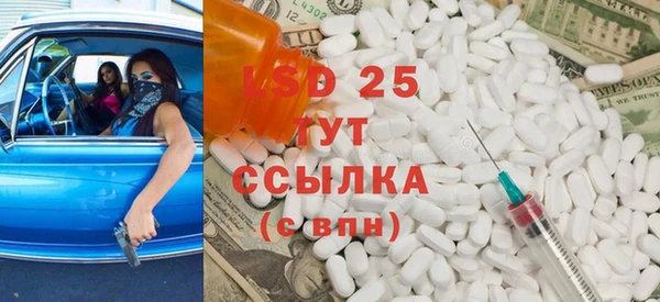 ПСИЛОЦИБИНОВЫЕ ГРИБЫ Верея