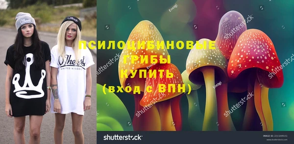 ПСИЛОЦИБИНОВЫЕ ГРИБЫ Верея