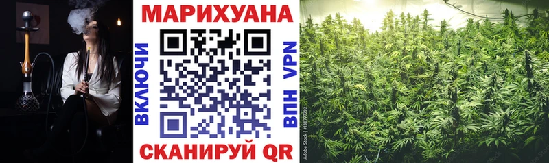 Каннабис SATIVA & INDICA  купить наркотик  Орск 